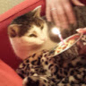 Meet your Posher, Lynnemarie